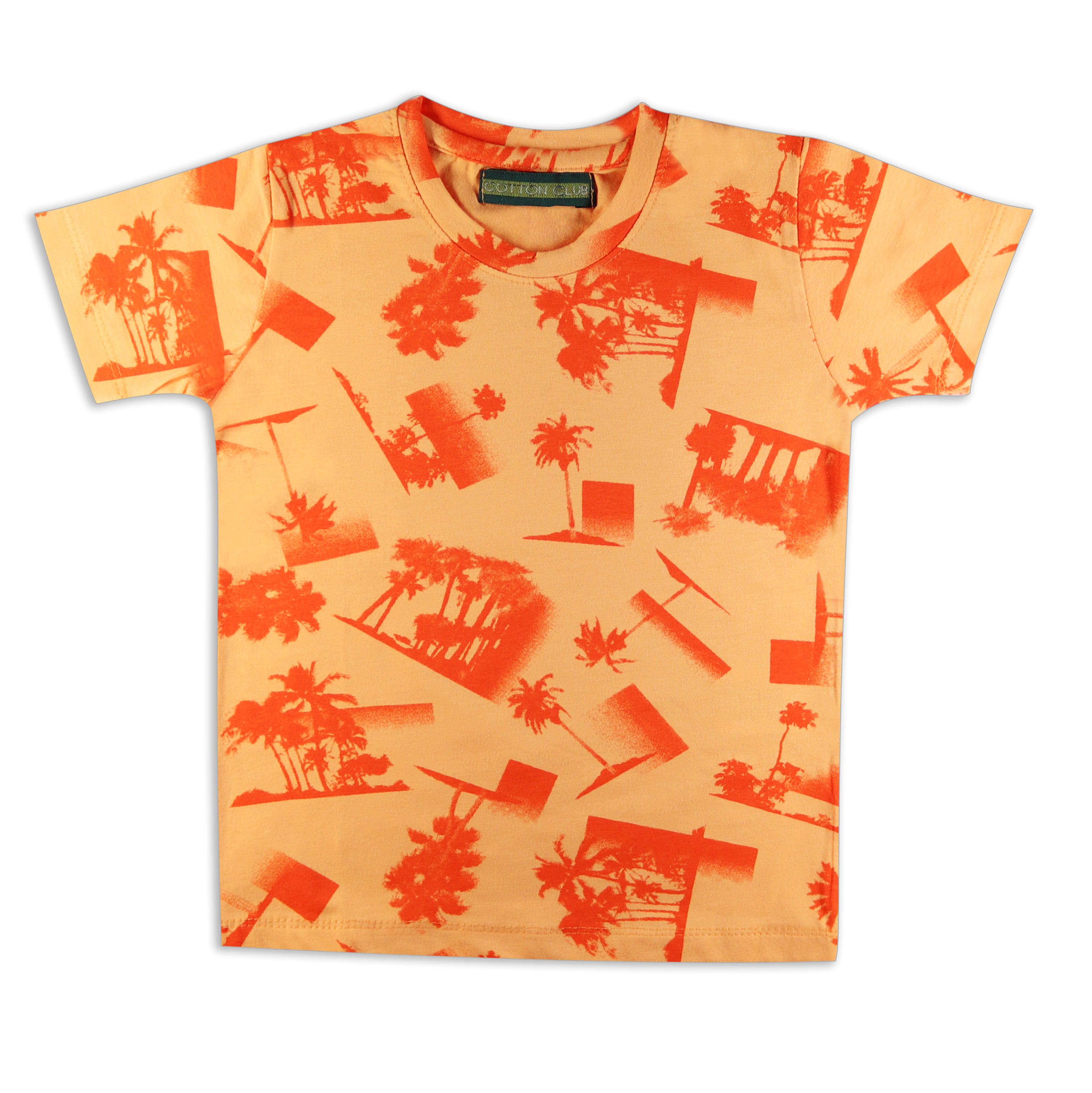 Printed Summers Tshirt